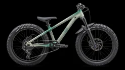 Specialized P.1 Trail>Kids Bmx / Dirt Jump·P.Series|Little Kids (4-7 Yr)·P.Series